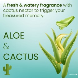 Aloe & cactus  