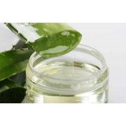 Aloe Gel