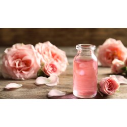 Bulgarian Rose