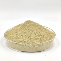 Multani Mitti