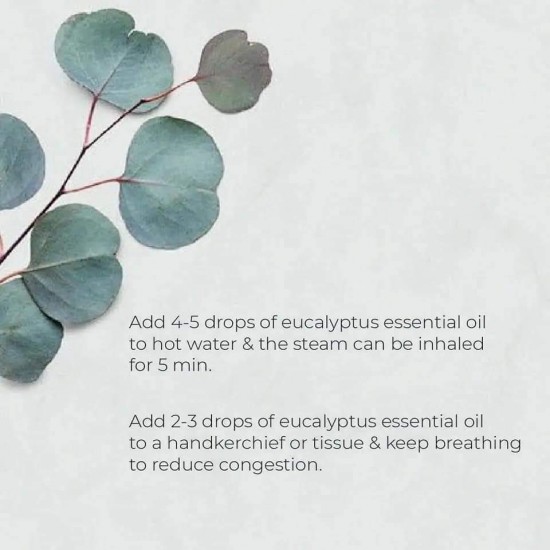 Eucalyptus oil