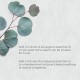 Eucalyptus oil