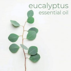 Eucalyptus oil