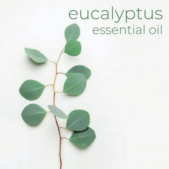 Eucalyptus oil