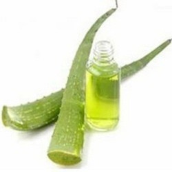 Aloevera oil