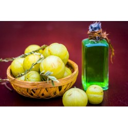 Amla oil