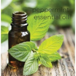 Peppermint Plain