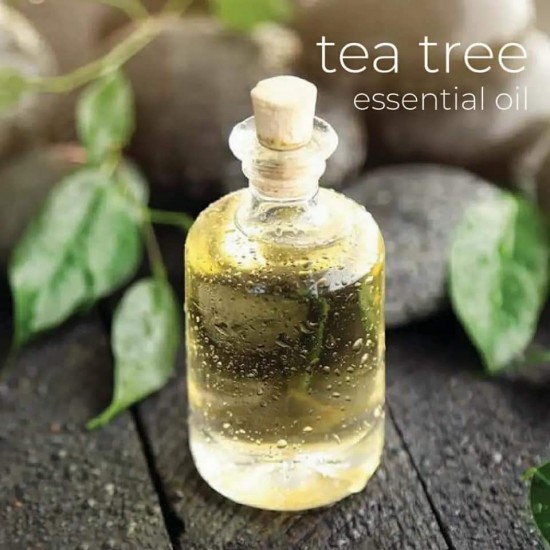 Tea tree
