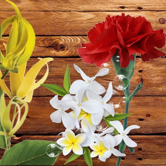 Ylang pure FO