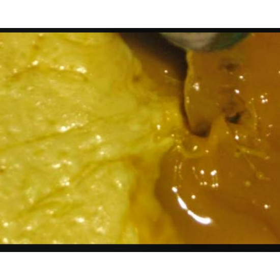 Mahua Butter (illipe)