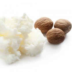 Shea Butter Refined