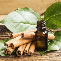 Cinnamon Bark Oil