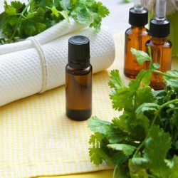 Coriander  Oil