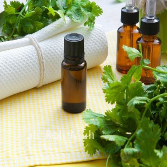 Coriander  Oil