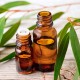 Eucalyptus oil
