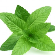 PEPPERMINT  FLAVOUR