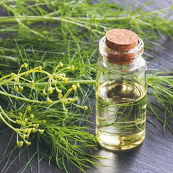 Fennel oil