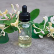 Honeysuckle