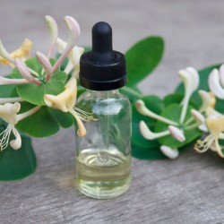 Honeysuckle
