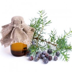 Juniper berry