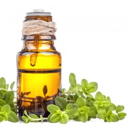 Marjoram
