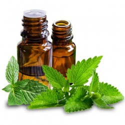 Peppermint Plain