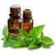 Peppermint Plain