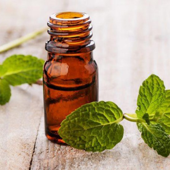 Spearmint