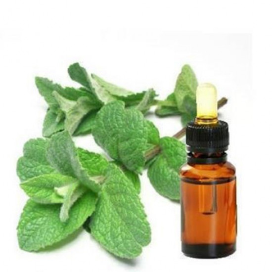 Sweet Basil