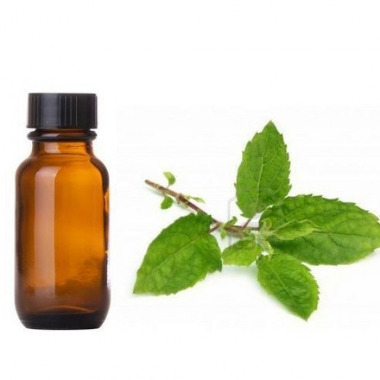 Tulsi (Holy Basil)