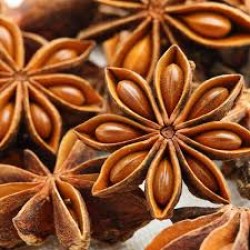 Aniseed Oil