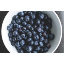 Blueberry Fo