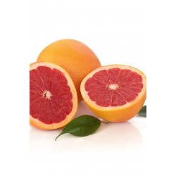 Grapefruit AK  Fragrance 