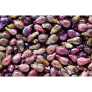 Grapeseed oil 