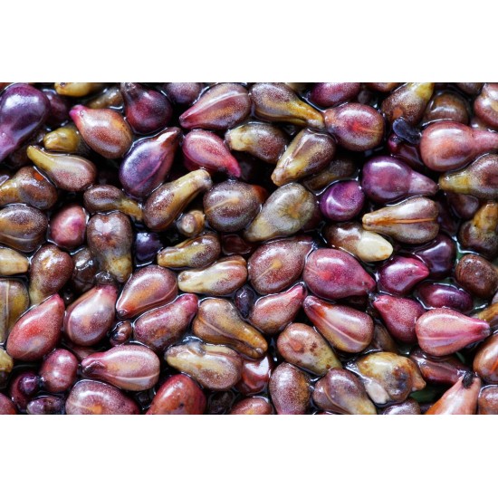 Grapeseed oil 