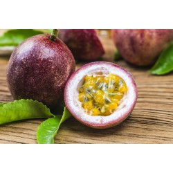 Passion Fruit
