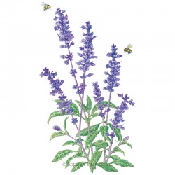 Sage Flower