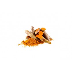 Turmeric Protein
