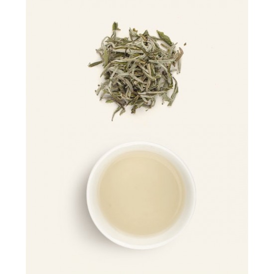 White Tea Premium